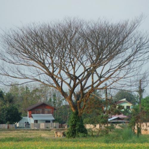 สมาชิกหมายเลข 3507549