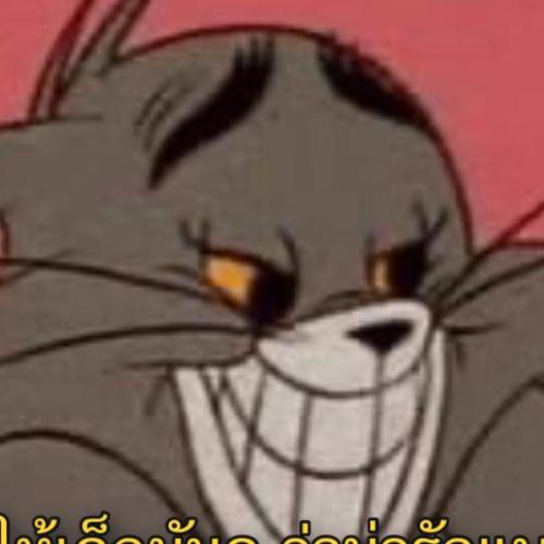 สมาชิกหมายเลข 6251035