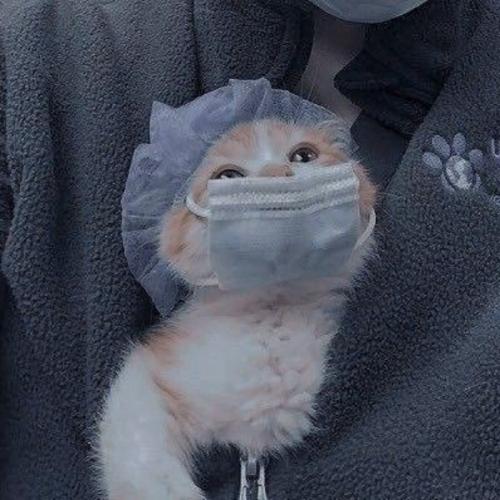 สมาชิกหมายเลข 6251395