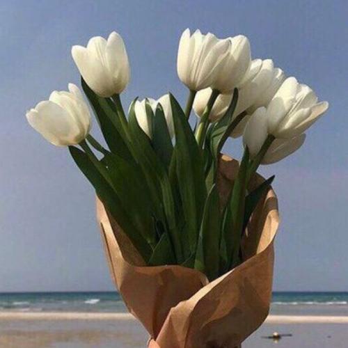 สมาชิกหมายเลข 6251634