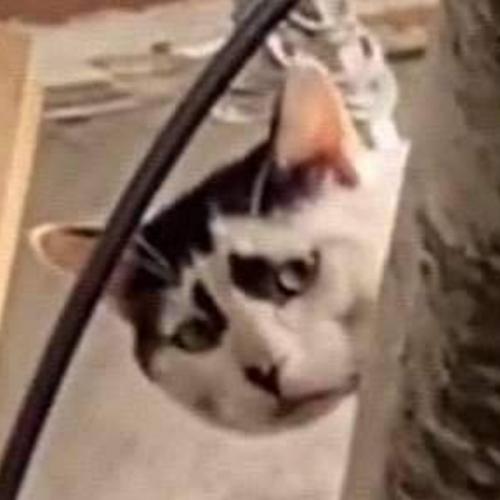 สมาชิกหมายเลข 6252041