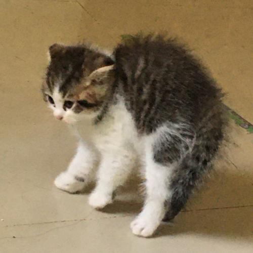 สมาชิกหมายเลข 6710524