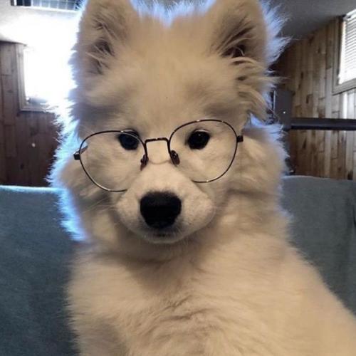 สมาชิกหมายเลข 6876762