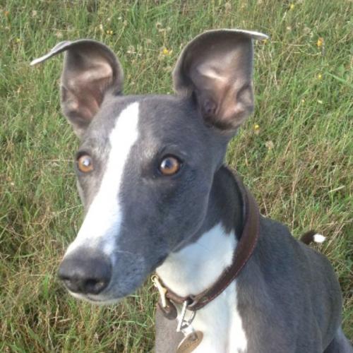 สมาชิกหมายเลข 6906989