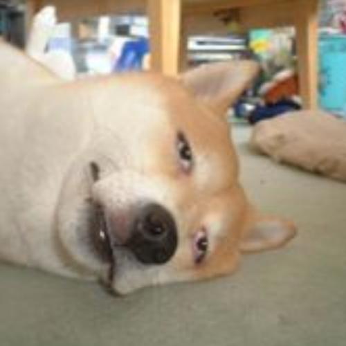 สมาชิกหมายเลข 7667566