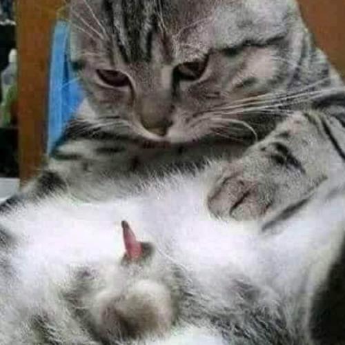 สมาชิกหมายเลข 7669404