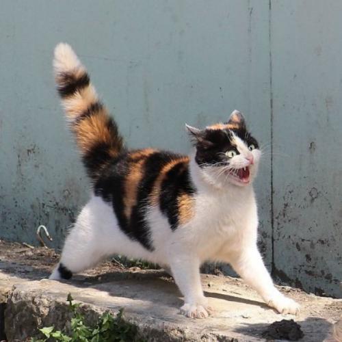 สมาชิกหมายเลข 7669797