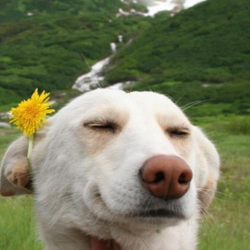 สมาชิกหมายเลข 8618256