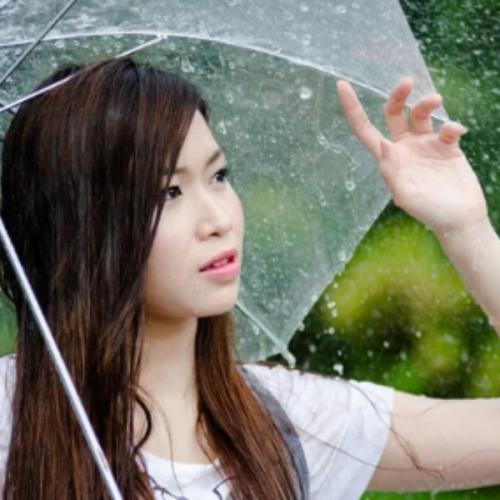 สมาชิกหมายเลข 8618457