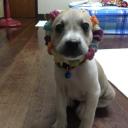 สมาชิกหมายเลข 2513248