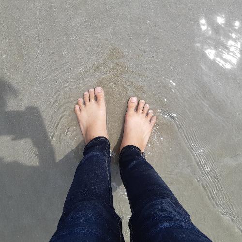 สมาชิกหมายเลข 4439126