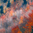 คุณแม่ยุคใหม่