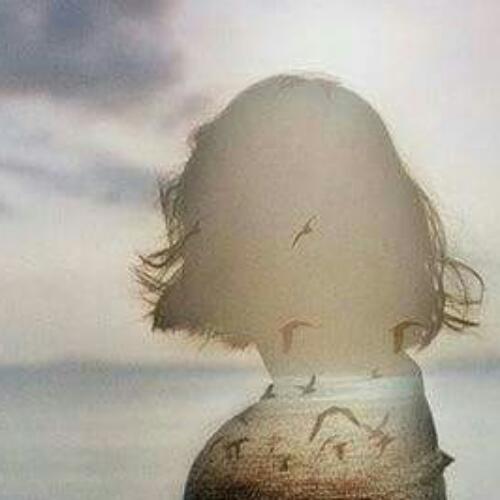 สมาชิกหมายเลข 3581591