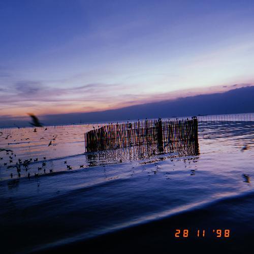 สมาชิกหมายเลข 5218819