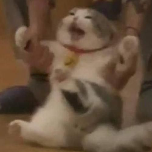 สมาชิกหมายเลข 5524352