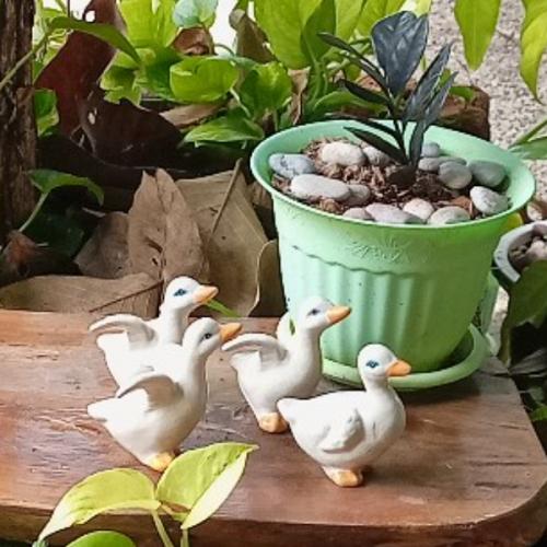 สมาชิกหมายเลข 6907371