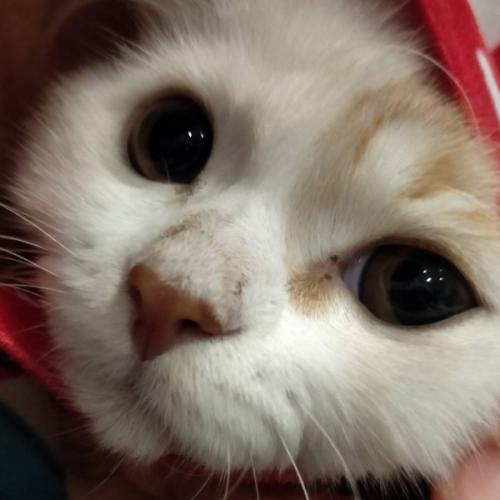 สมาชิกหมายเลข 7670654