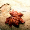 สมาชิกหมายเลข 4073178