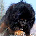 สมาชิกหมายเลข 3914548