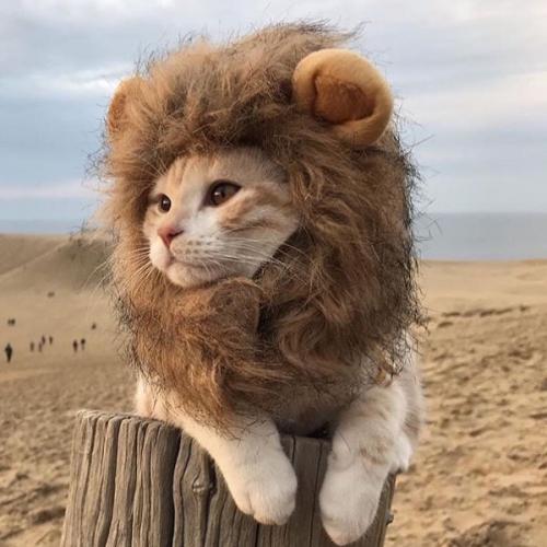 สมาชิกหมายเลข 1562046