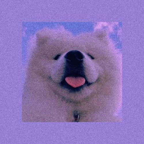 สมาชิกหมายเลข 5673376