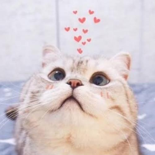 สมาชิกหมายเลข 5673463