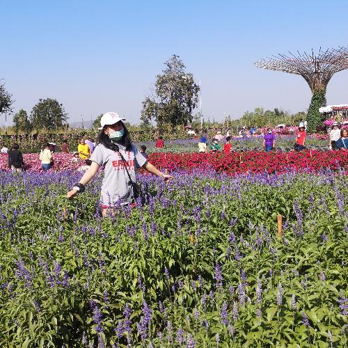 สมาชิกหมายเลข 5122627