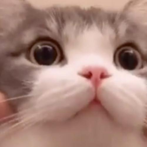 สมาชิกหมายเลข 6253043