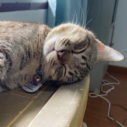 สมาชิกหมายเลข 6214860