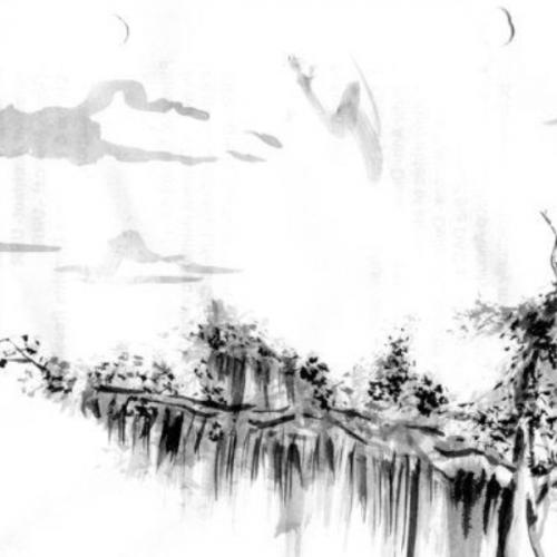 สมาชิกหมายเลข 6893685