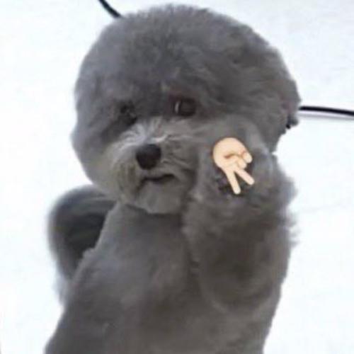 สมาชิกหมายเลข 5230432