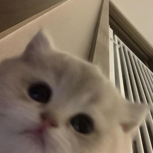 สมาชิกหมายเลข 7670868