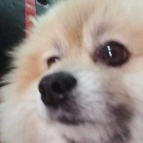 สมาชิกหมายเลข 5232668