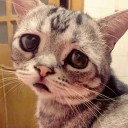 สมาชิกหมายเลข 961917