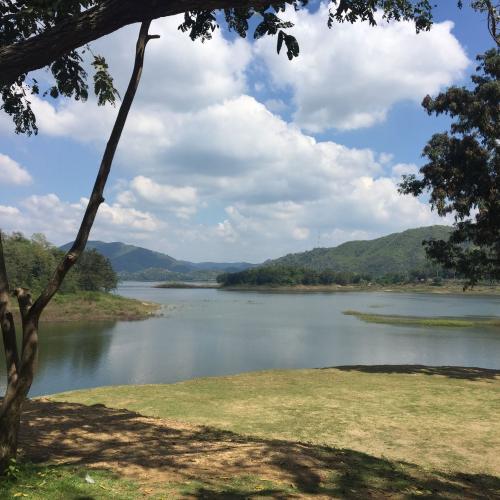 สมาชิกหมายเลข 2604055