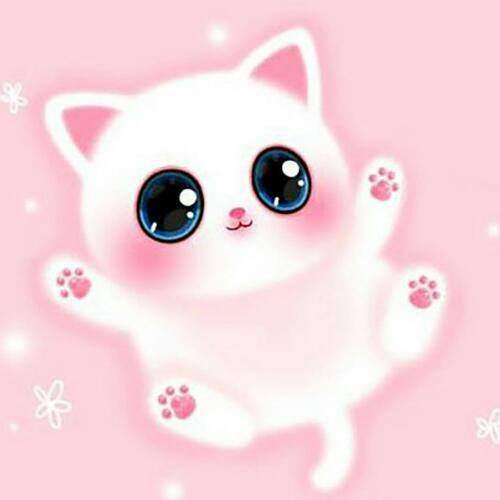 สมาชิกหมายเลข 5168990