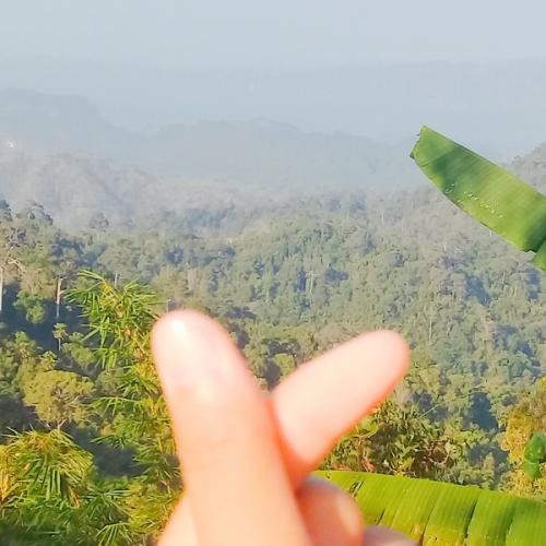 สมาชิกหมายเลข 5673618