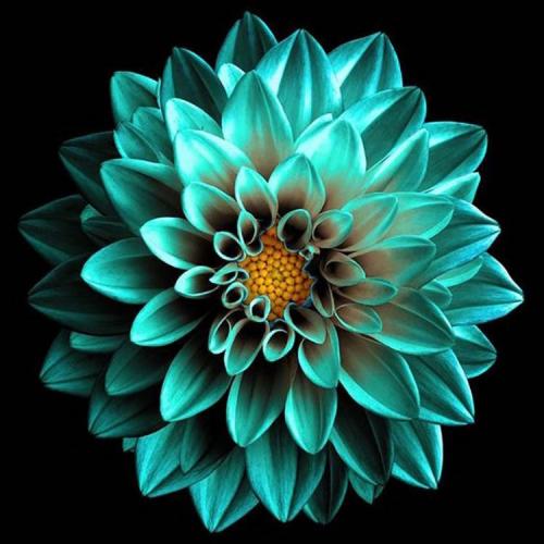 สมาชิกหมายเลข 5673725