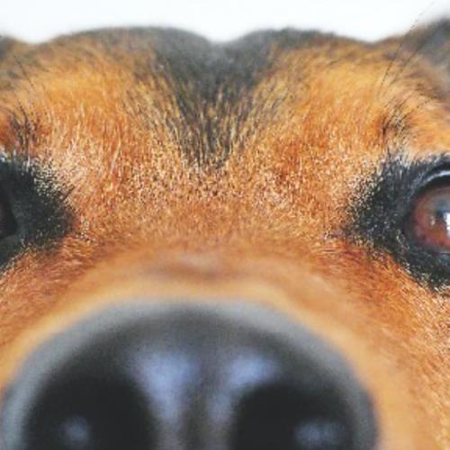 สมาชิกหมายเลข 3920445