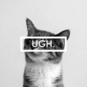 สมาชิกหมายเลข 3051467