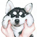 สมาชิกหมายเลข 4518379