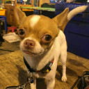 สมาชิกหมายเลข 4518495