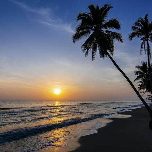 สมาชิกหมายเลข 979232