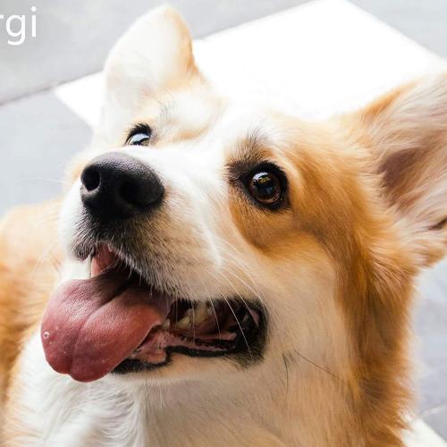 สมาชิกหมายเลข 4855638