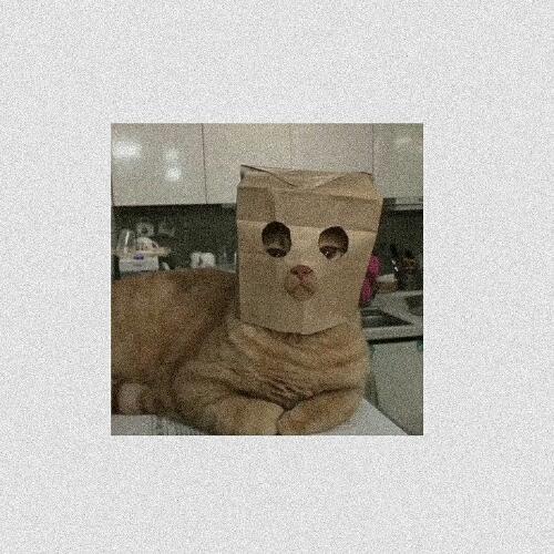 สมาชิกหมายเลข 4584336