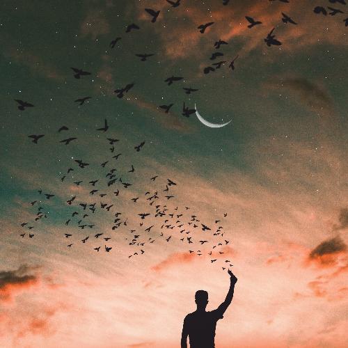 สมาชิกหมายเลข 4986988