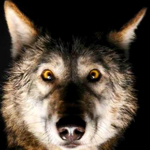 สมาชิกหมายเลข 3873806