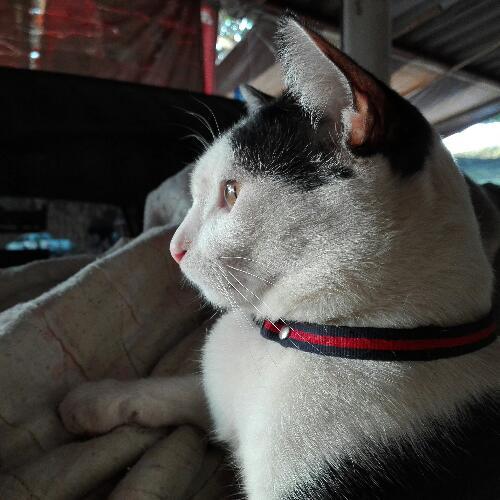 สมาชิกหมายเลข 5647272