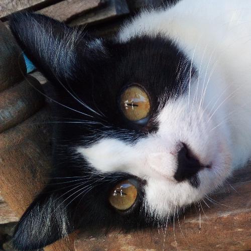 สมาชิกหมายเลข 5674149