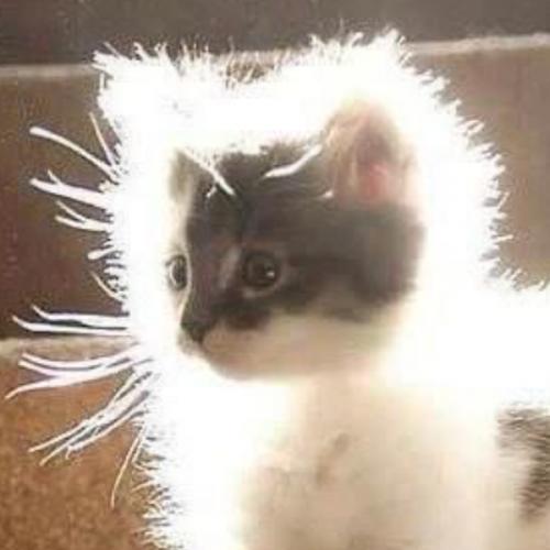 สมาชิกหมายเลข 6909755